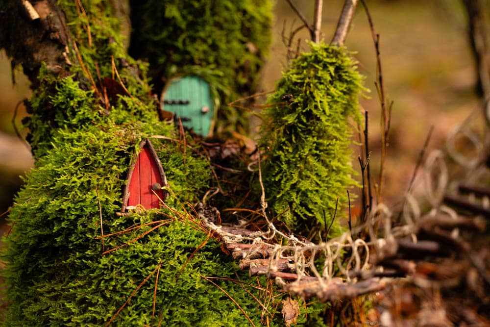 A miniature rope bridge leading to colorful fairy doors on a mossy tree