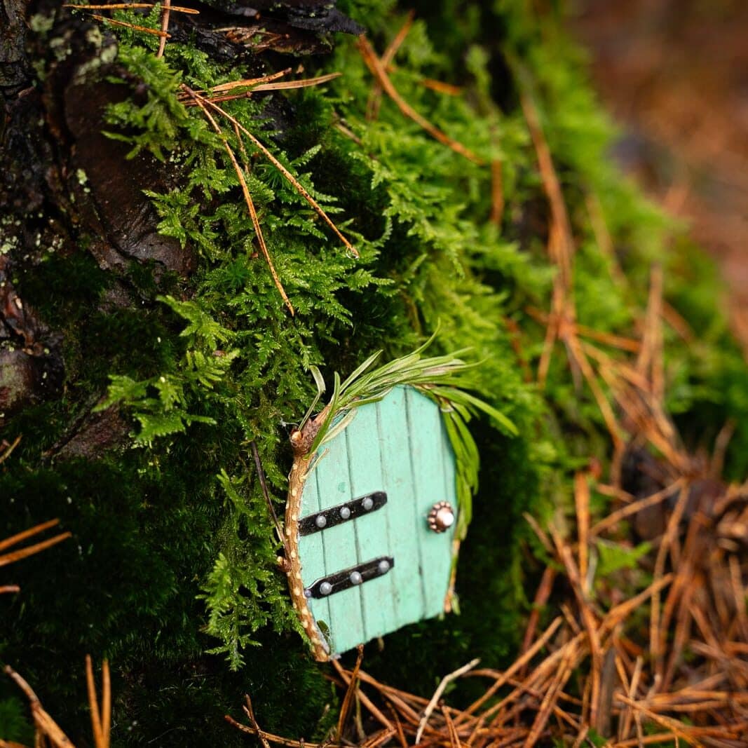 fairy door at tree base A fairy door at the base of a mossy tree in a forest