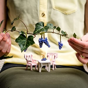 Mini grape vines Mini grape vines by Aimee River