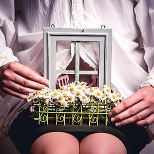 Mini window Mini window by Aimee River