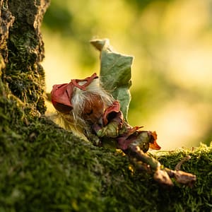 forest fairy on mossy tree A fairy made with forest materials sleeping on a mossy tree branch