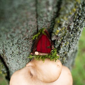 red miniature on mushroom-steps from above Top down perspective of a miniature red door sitting on tree mushrooms resembling a doorstep