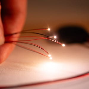 Warm white miniature lights in micro LED kit with battery holder